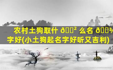 农村土狗取什 🌲 么名 🌾 字好(小土狗起名字好听又吉利)